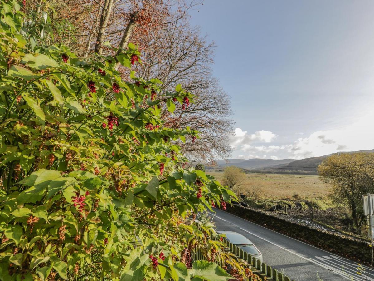 Bryn Melyn Artist'S Cottage Llanelltyd Exterior photo